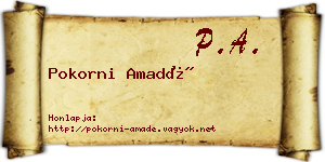 Pokorni Amadé névjegykártya